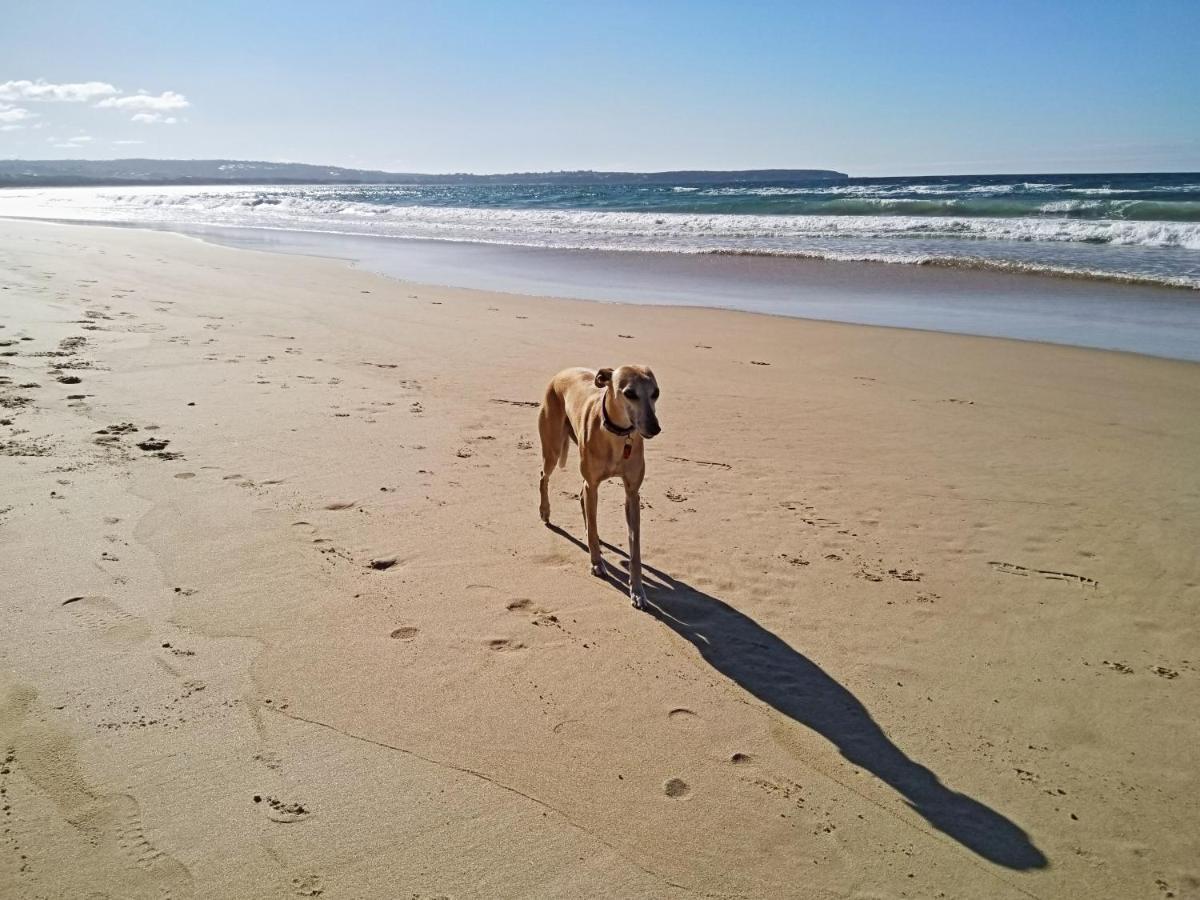 Beachcomber - Pet Friendly ميريمبولا المظهر الخارجي الصورة